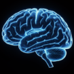 Clinical Neuroscience: Brain Disorders & Treatment