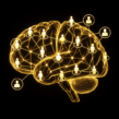 Neuro-Leadership: Leading with the Brain in Mind